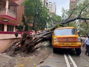 An 11-year-old boy lost his life after a tree fell on a school bus in Chembur, Mumbai. Read the latest updates, rescue efforts, and official inquiry.