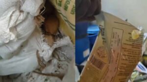 Zepto warehouse raid Bengaluru