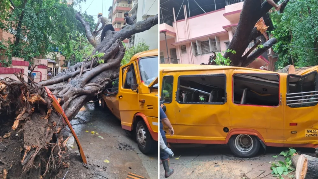 An 11-year-old boy lost his life after a tree fell on a school bus in Chembur, Mumbai. Read the latest updates, rescue efforts, and official inquiry.
